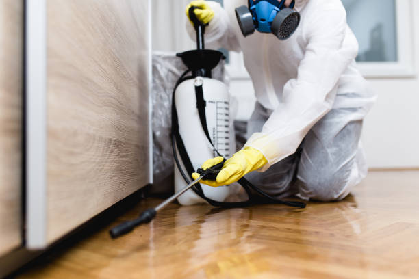 Best Cockroach Control Services  in Glendale, CA