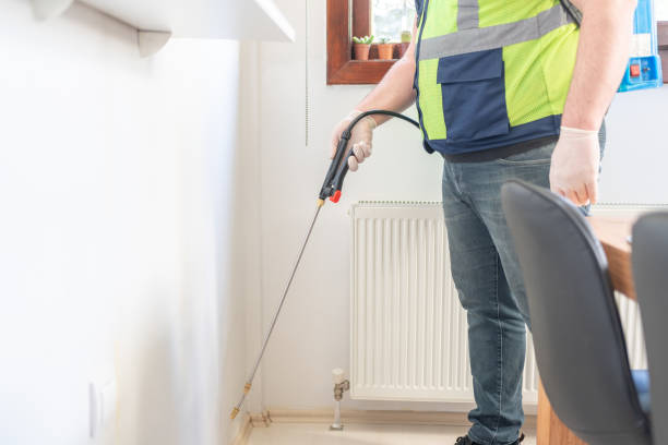 Best Local Pest Control Services  in Glendale, CA
